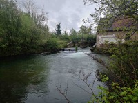 Rivier Aa - Lumbres Frankrijk