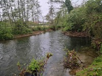 Rivier Aa - Lumbres Frankrijk